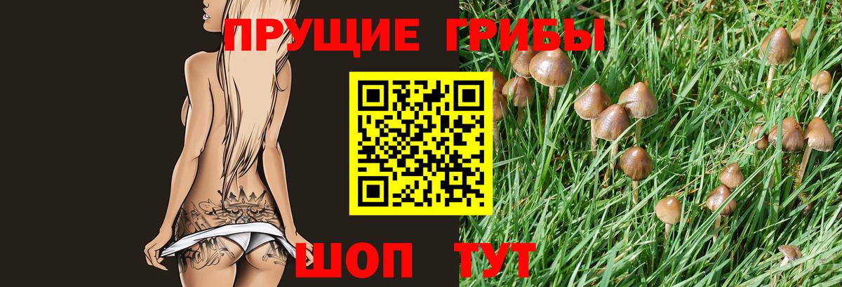 Биробиджан  Псилоцибиновые грибы Magic Shrooms  купить закладку  Вход с VPN 