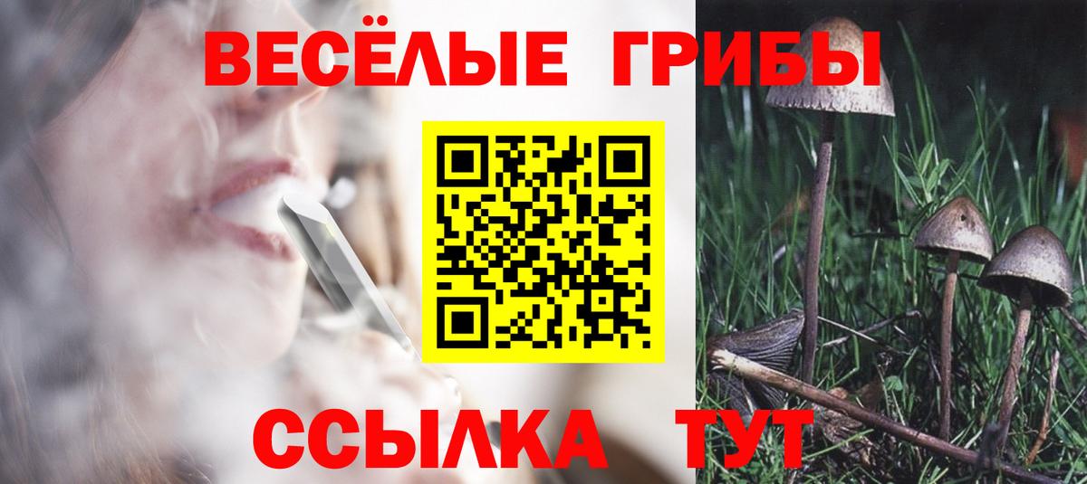 Псилоцибиновые грибы MAGIC MUSHROOMS Биробиджан